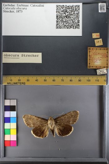 Media type: image;   Entomology 639489
